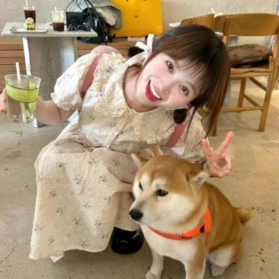 重启的爱情
